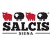 Logo Salcis